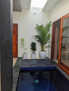 a swimming pool in a room with potted plants at Bright Peaceful Villa in Kerobokan