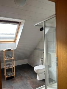 a bathroom with a toilet and a glass shower at Pension Zum Paradies in Harthausen