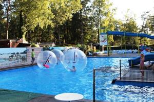 Bazén v ubytování Te Huur: leuke 4-persoons Stacaravan op top locatie! nebo v jeho okolí