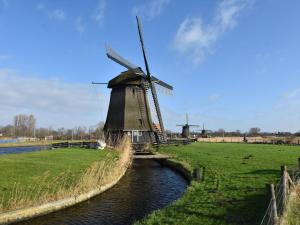 a windmill in a field next to a river at Cosy apartment in Alkmaar with balcony in Alkmaar