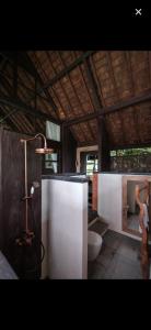 ein Bad mit einer Dusche und einem WC in der Unterkunft Villa Togog in Penebel