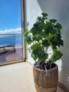 Nespecifikovaný výhled na moře nebo výhled na moře při pohledu z apartmánu