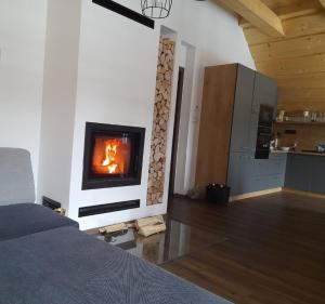 特尔乔夫Apartmánový Dom Terchová的客厅设有壁炉