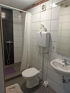 a bathroom with a toilet and a sink at studio apartman Ervi in Hlebine