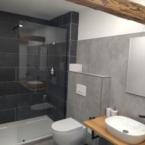 a bathroom with a shower and a toilet and a sink at Apartmány s výhledem na zámek II in Vimperk