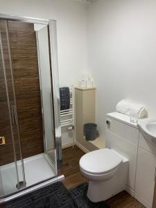 a bathroom with a toilet and a shower and a sink at Premium Inn Apartments in Methley