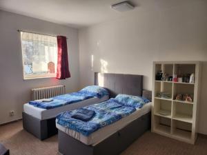 1 dormitorio con 2 camas y ventana en Homestay u Hanky, en Zdiby
