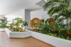 Zahrada ubytování Espacioso y encantador apartamento en las gaviotas