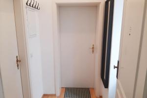 a hallway with a white door and a rug at Gemütliches Apartment nahe der Elbe in Magdeburg