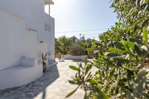 Kép Helios Beach Studios szállásáról Plákában a galériában