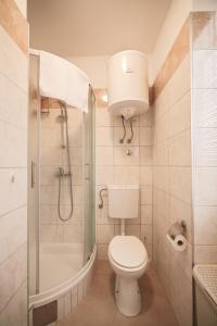 a bathroom with a toilet and a shower at Sea Organ Apartment 2 (Oldtown Studio) in Zadar