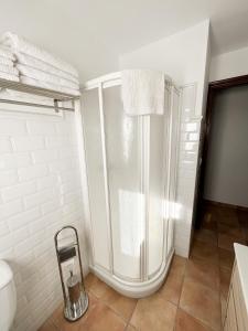 a bathroom with a shower and a toilet at Apartamentos Villa Torcal in Villanueva de la Concepción