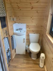 a small bathroom with a toilet and a sink at Meall Ard Self Catering Pod - Isle of South Uist in Pollachar
