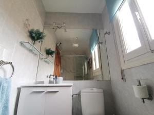 bagno con servizi igienici, lavandino e specchio di Casa Alfonso Toledo Más que una casa un hogar a Toledo