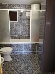 a bathroom with a toilet and a shower at Apartment Ante in Račišće +11 photos