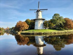 a windmill reflecting in the water next to a pond at Studio-Vrij in Middelburg