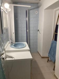 ein Badezimmer mit einem blauen Waschbecken und einer Dusche in der Unterkunft Petite Maison en Provence in Plaisians