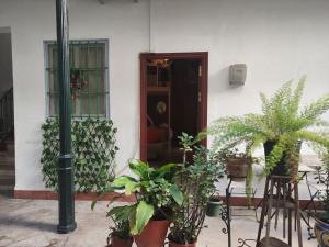 un edificio con macetas delante de una puerta en Arte de la Seda II, en Sevilla