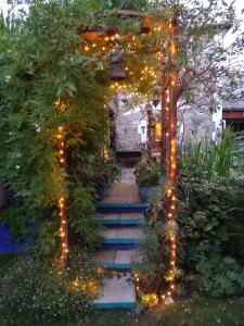 a garden with a stairway with christmas lights at Osborne Lodge in Ryde