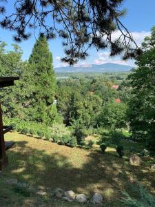 Příroda nedaleko apartmánu
