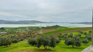 a green hillside with trees and a body of water at La Belle Etoile in Ouazzane +30 photos