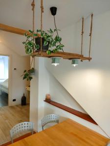 a dining room with a table and a shelf with a plant at La Bouganville in Arco