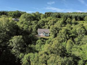 an aerial view of a house in the middle of a forest at Holiday Home Silver Birch by Interhome in Drumnadrochit