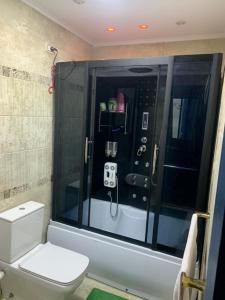 uma casa de banho com um chuveiro e um WC. em القاهرة no Cairo