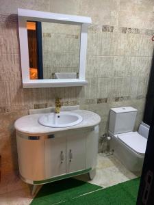 uma casa de banho com um lavatório e um WC em القاهرة no Cairo