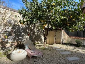 a chair and a table under an orange tree at Apartment La casa di Manu by Interhome in Porto Maurizio +20 photos
