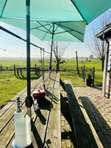 une table avec un parapluie bleu en haut dans l'établissement Luxe in stiltegebied tussen loslopende Alpaca’s, 