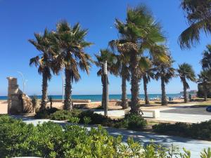 una fila de palmeras en la playa en Ardi Casa, en La Mata