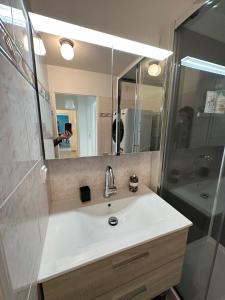 La salle de bains est pourvue d'un lavabo et d'une douche avec un miroir. dans l'établissement L'escale du Trianon, au Plessis-Robinson