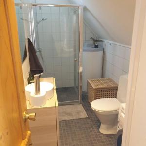 a bathroom with a shower and a toilet and a sink at Árheimar 4 cosy holiday home in Arabaer
