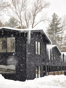 a house covered in snow with icicles hanging from it at Bluebird Lake Placid in Lake Placid