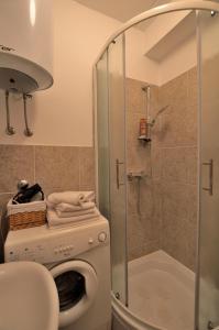a bathroom with a washing machine and a shower at Apartments Maja in Štinjan