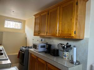 a kitchen with a counter top with a microwave at TETE Comforts in Roseau