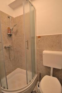 a bathroom with a shower and a toilet at Apartments Maja in Štinjan