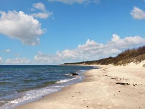 una spiaggia con un cane sdraiato sulla sabbia di Holiday Home Ansgar - 150m from the sea by Interhome a Vester Sømarken