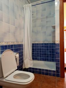 a bathroom with a toilet and a shower at AVI PEP in Vilafant