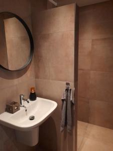 een badkamer met een wastafel en een spiegel bij Secret Wellness Droombos in Holten