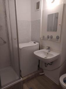 uma casa de banho branca com um lavatório e um chuveiro em Oederan One Room Apartment 33m2 Mindestens 1 Monat Reservierung em Oederan