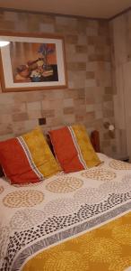 a bed with colorful pillows on top of it at studio pres du lac d'annecy in Seythenex