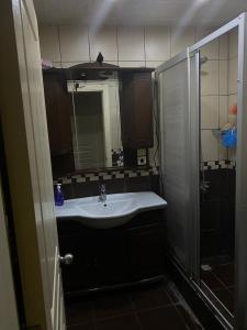 een badkamer met een wastafel en een douche bij Private Room in Istanbul #67 in Istanbul