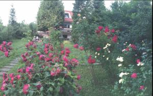 Zahrada ubytování studio in vila- natural 22 C !