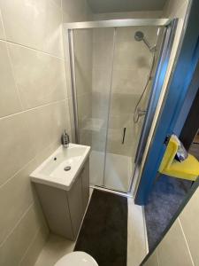 a bathroom with a shower and a toilet and a sink at The Burren Inn in Tubber