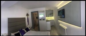 TV a/nebo společenská místnost v ubytování studio in vila- natural 22 C !