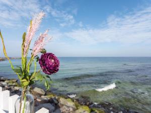 a vase with a purple flower sitting on the beach at Holiday Home Momo - 10m from the sea in Bornholm by Interhome in Hasle