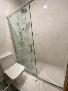 ein Bad mit einer Dusche und einem WC in der Unterkunft Apartamento Central in Braga