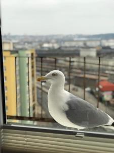 Fotografia z galérie ubytovania Warszawska 15 Apartament v destinácii Gdynia